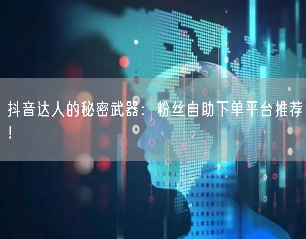 抖音达人的秘密武器：粉丝自助下单平台推荐！