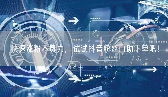 快速涨粉不费力，试试抖音粉丝自助下单吧！