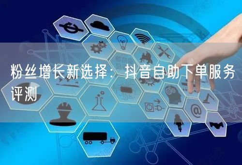 粉丝增长新选择：抖音自助下单服务评测
