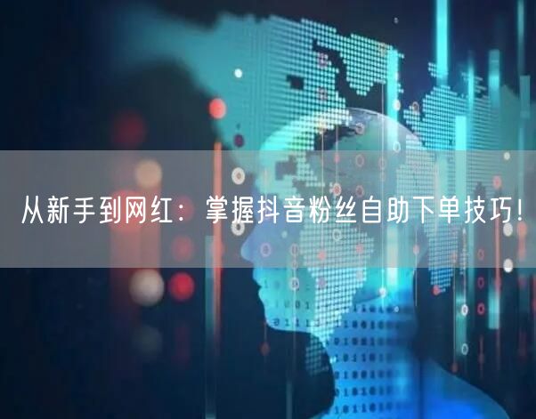 从新手到网红：掌握抖音粉丝自助下单技巧！