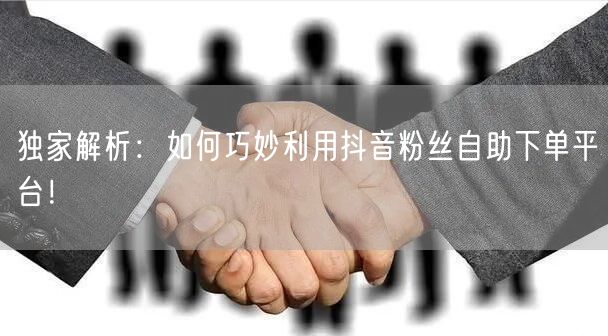 独家解析：如何巧妙利用抖音粉丝自助下单平台！