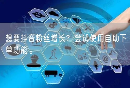 想要抖音粉丝增长？尝试使用自助下单功能。