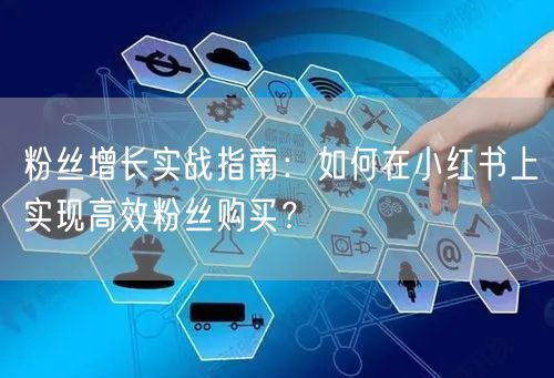 粉丝增长实战指南：如何在小红书上实现高效粉丝购买？