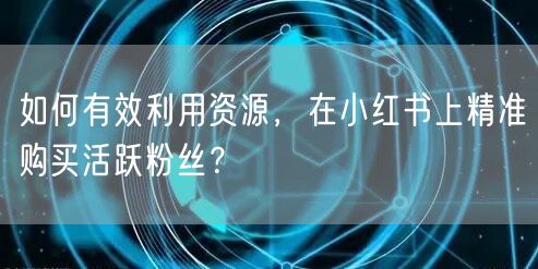 如何有效利用资源，在小红书上精准购买活跃粉丝？