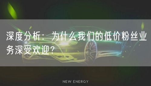 深度分析：为什么我们的低价粉丝业务深受欢迎？