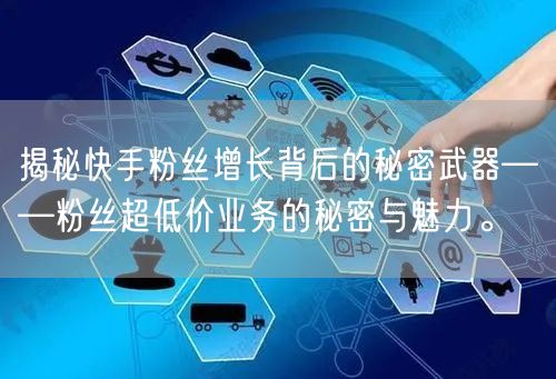 揭秘快手粉丝增长背后的秘密武器——粉丝超低价业务的秘密与魅力。