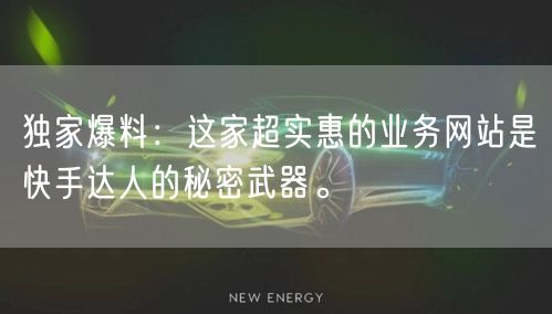独家爆料：这家超实惠的业务网站是快手达人的秘密武器。