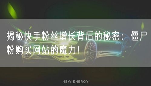揭秘快手粉丝增长背后的秘密：僵尸粉购买网站的魔力！