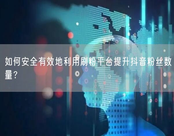 如何安全有效地利用刷粉平台提升抖音粉丝数量？