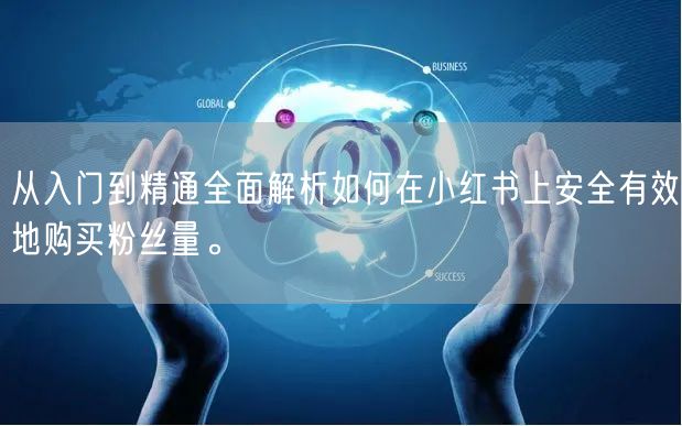 从入门到精通全面解析如何在小红书上安全有效地购买粉丝量。