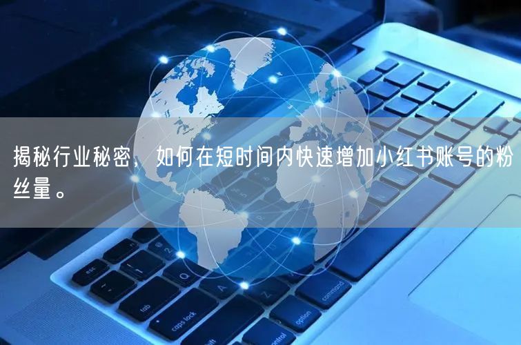 揭秘行业秘密，如何在短时间内快速增加小红书账号的粉丝量。