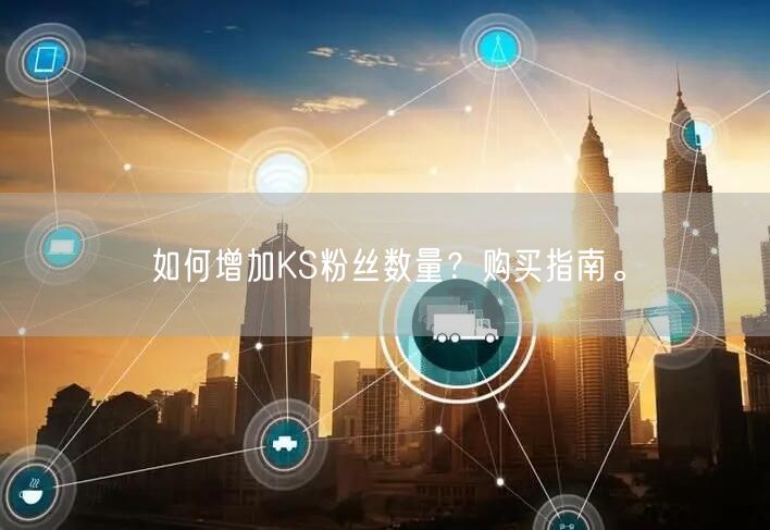 如何增加KS粉丝数量？购买指南。