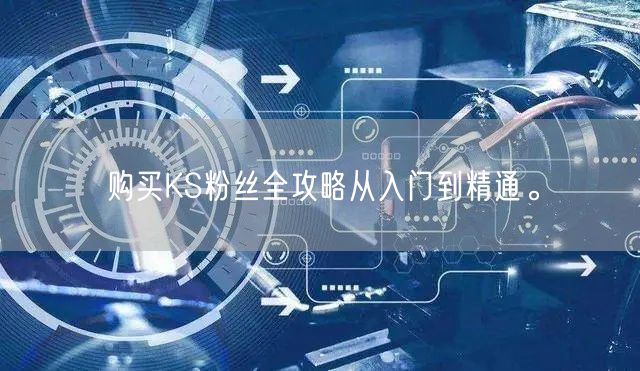 购买KS粉丝全攻略从入门到精通。
