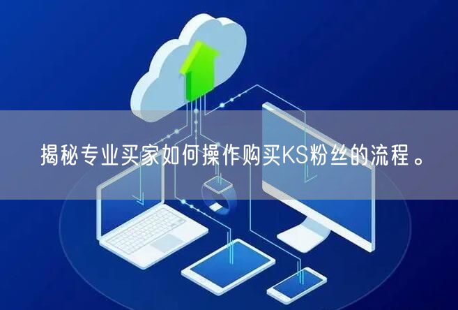 揭秘专业买家如何操作购买KS粉丝的流程。