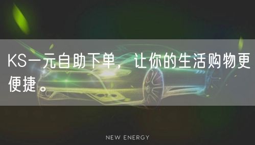 KS一元自助下单，让你的生活购物更便捷。