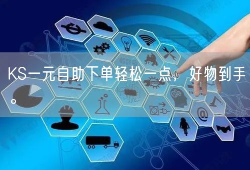 KS一元自助下单轻松一点，好物到手。