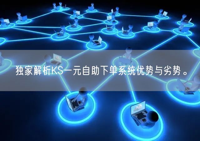 独家解析KS一元自助下单系统优势与劣势。