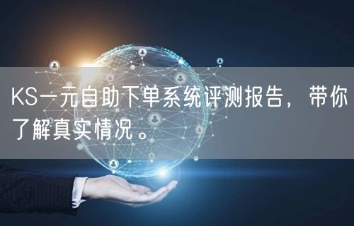 KS一元自助下单系统评测报告，带你了解真实情况。