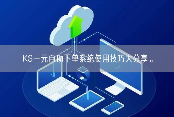 KS一元自助下单系统使用技巧大分享。