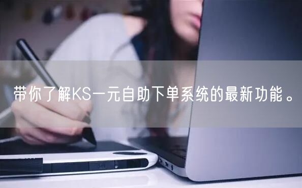 带你了解KS一元自助下单系统的最新功能。