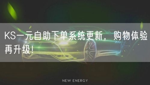KS一元自助下单系统更新，购物体验再升级！