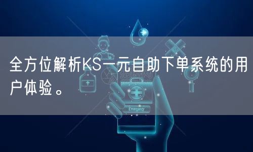 全方位解析KS一元自助下单系统的用户体验。