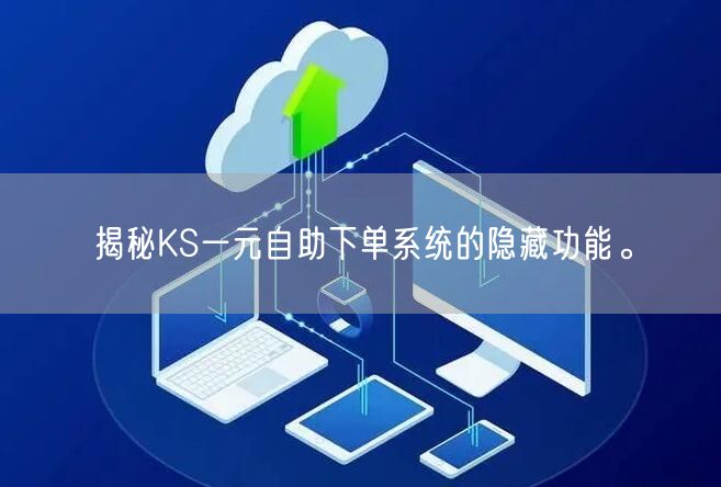 揭秘KS一元自助下单系统的隐藏功能。