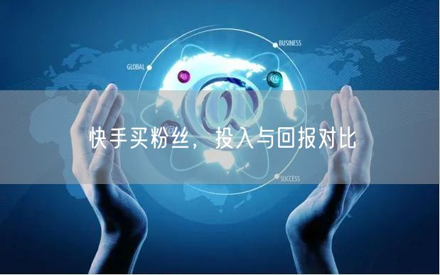 快手买粉丝，投入与回报对比