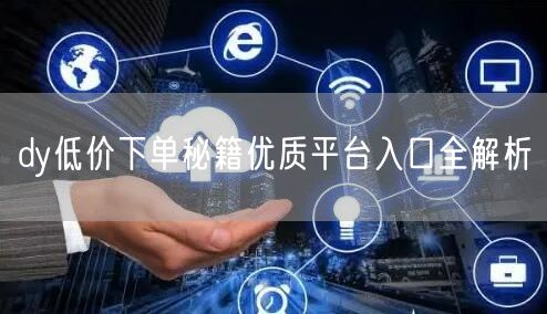 dy低价下单秘籍优质平台入口全解析