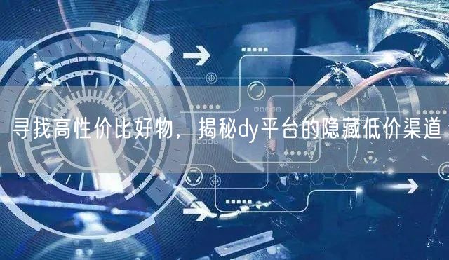 寻找高性价比好物，揭秘dy平台的隐藏低价渠道