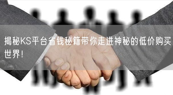揭秘KS平台省钱秘籍带你走进神秘的低价购买世界！