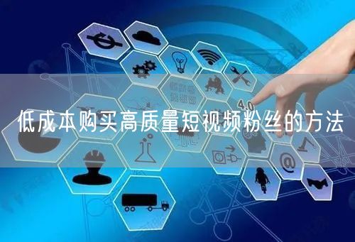 低成本购买高质量短视频粉丝的方法