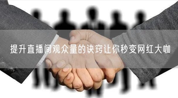 提升直播间观众量的诀窍让你秒变网红大咖