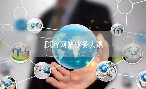 DDY网站业务大观