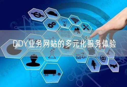 DDY业务网站的多元化服务体验