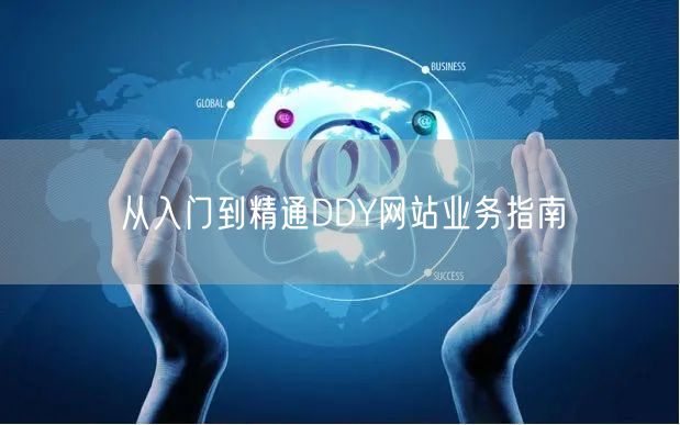 从入门到精通DDY网站业务指南