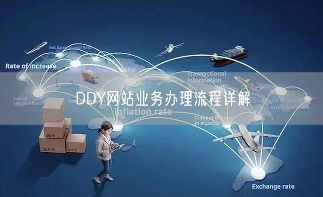 DDY网站业务办理流程详解