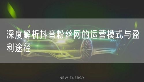 深度解析抖音粉丝网的运营模式与盈利途径