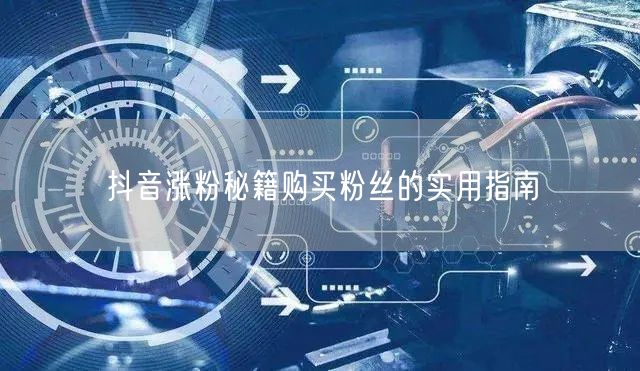 抖音涨粉秘籍购买粉丝的实用指南