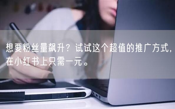 想要粉丝量飙升？试试这个超值的推广方式，在小红书上只需一元。