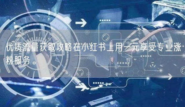优质流量获取攻略在小红书上用一元享受专业涨粉服务。