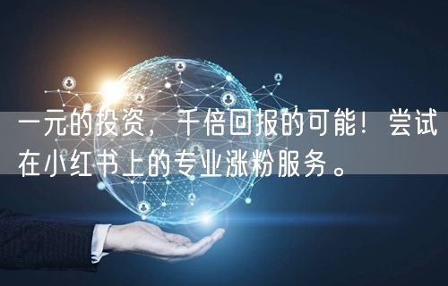 一元的投资，千倍回报的可能！尝试在小红书上的专业涨粉服务。
