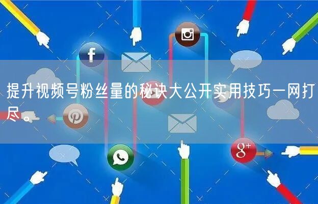 提升视频号粉丝量的秘诀大公开实用技巧一网打尽。
