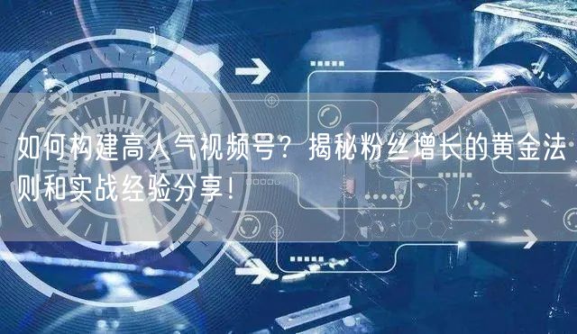 如何构建高人气视频号？揭秘粉丝增长的黄金法则和实战经验分享！