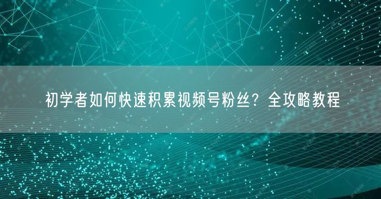 初学者如何快速积累视频号粉丝？全攻略教程