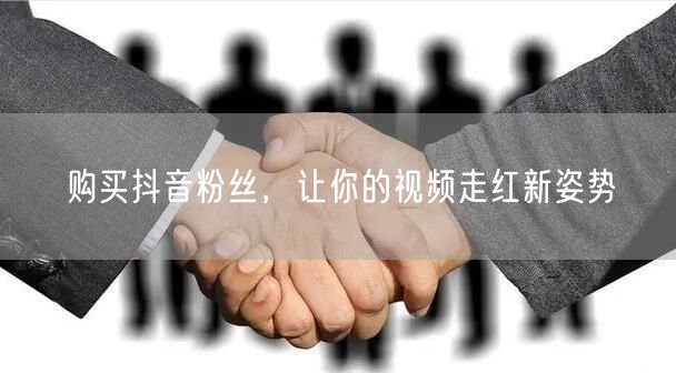 购买抖音粉丝，让你的视频走红新姿势