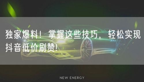 独家爆料！掌握这些技巧，轻松实现抖音低价刷赞!
