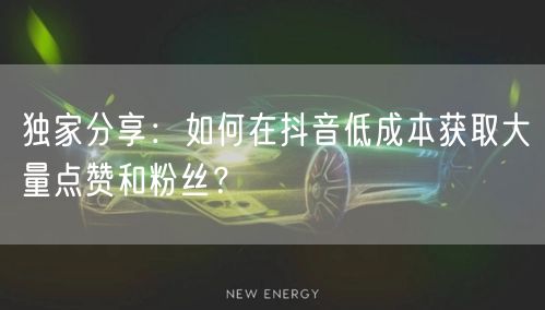 独家分享：如何在抖音低成本获取大量点赞和粉丝？