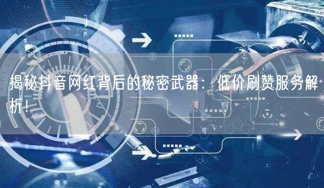 揭秘抖音网红背后的秘密武器：低价刷赞服务解析！