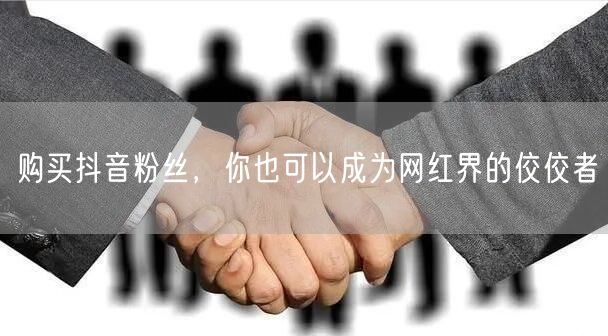 购买抖音粉丝，你也可以成为网红界的佼佼者